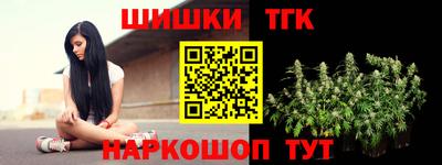 стаф Можга