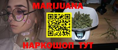 стаф Можга