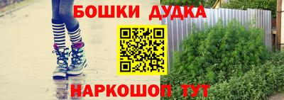 стаф Можга