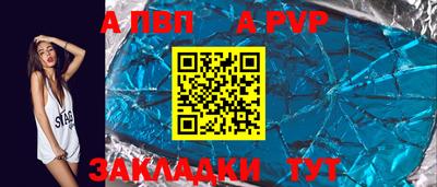 стаф Можга