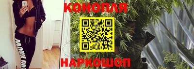 стаф Можга
