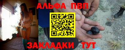 стаф Можга