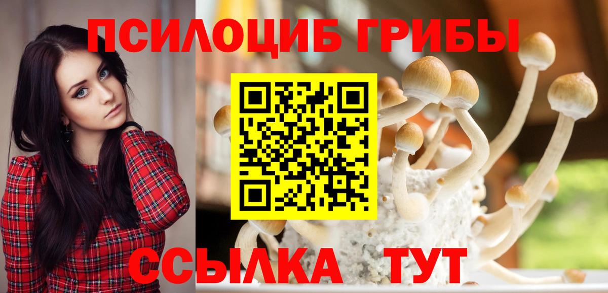 Вязники  Псилоцибиновые грибы мицелий  Вход с VPN 